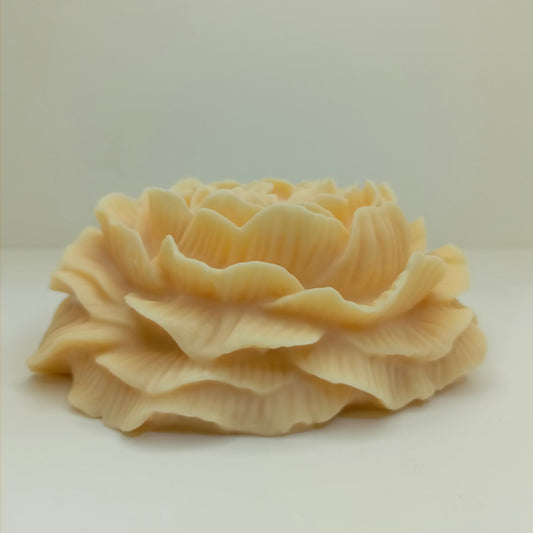 Peony Flower XL
