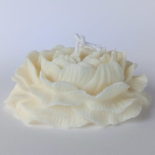 Peony Flower XL
