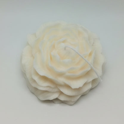 Peony Flower XL
