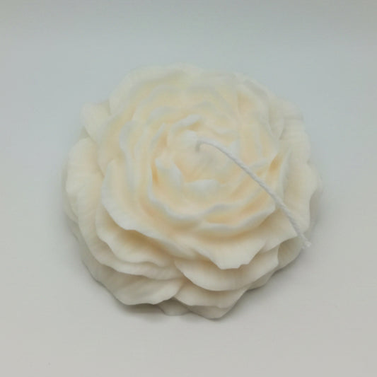 Peony Flower XL