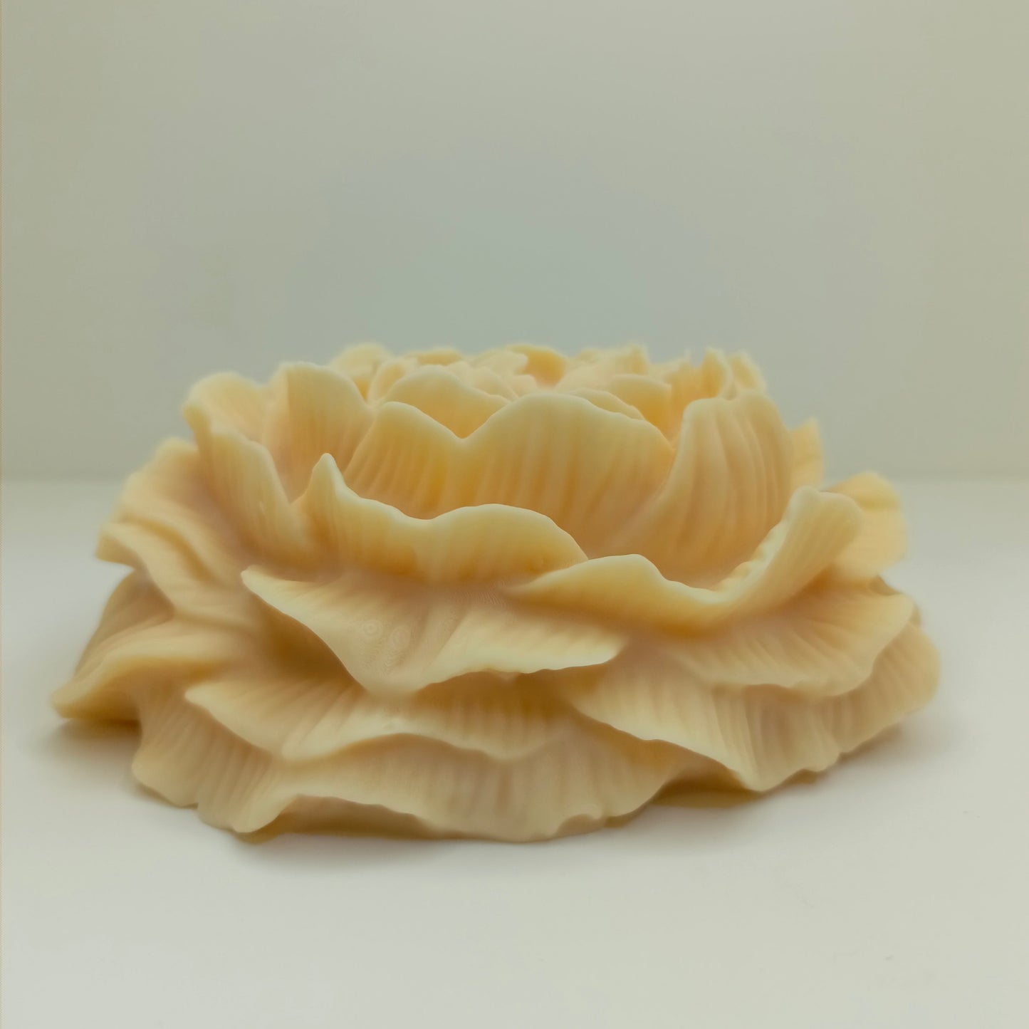 Peony Flower XL