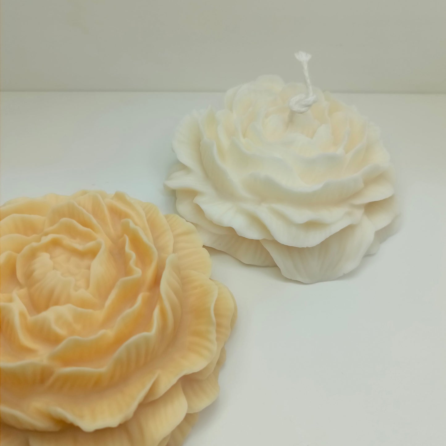 Peony Flower XL