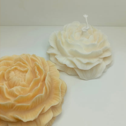 Peony Flower XL