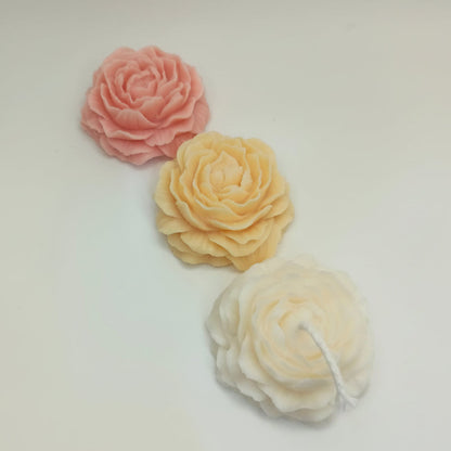 Peony Flower- Set of 3