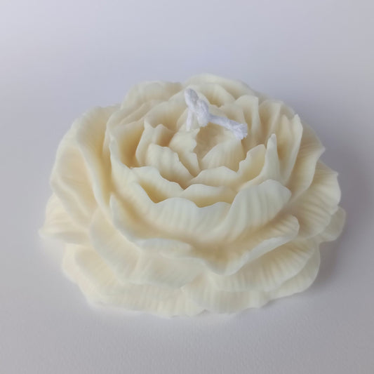 Peony Flower XL