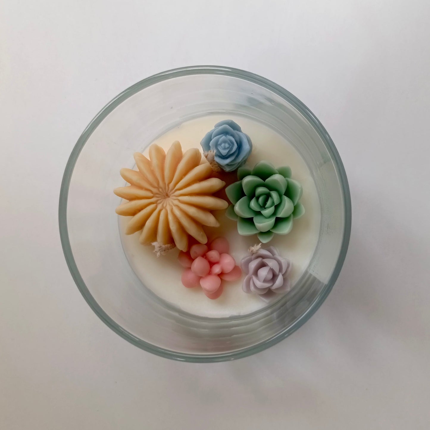 Soft Botanique